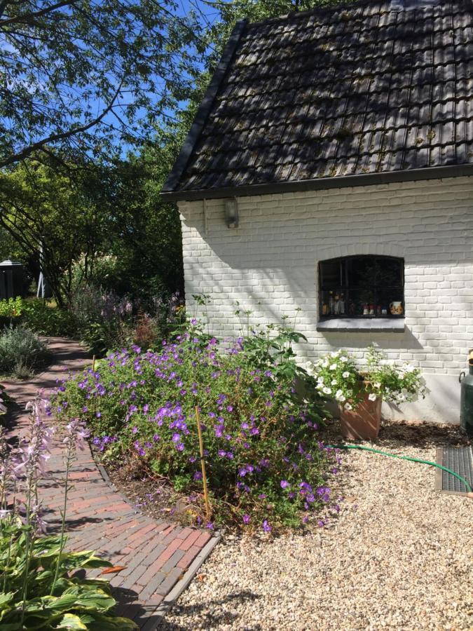 Het Buitengebied Empe Exteriör bild
