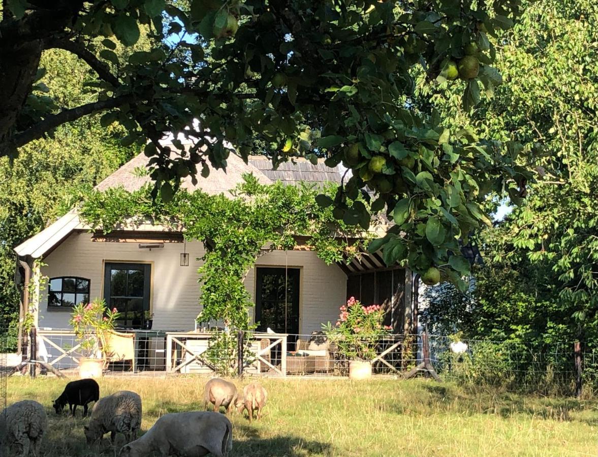 Het Buitengebied Empe Exteriör bild