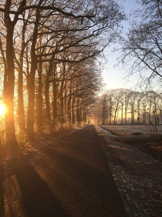 Het Buitengebied Empe Exteriör bild
